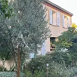 Ostal Del Koi