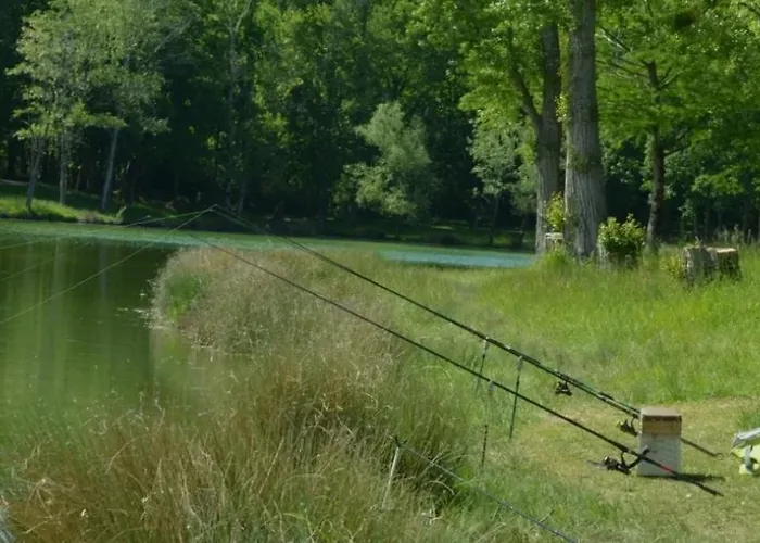 Ostal Del Koi Bed & Breakfast