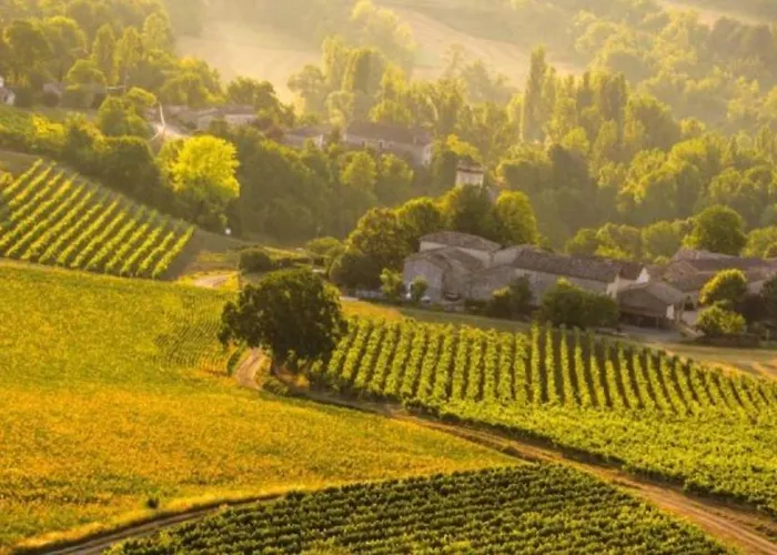 Ostal Del Koi Bed & Breakfast *